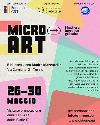 Mostra microart